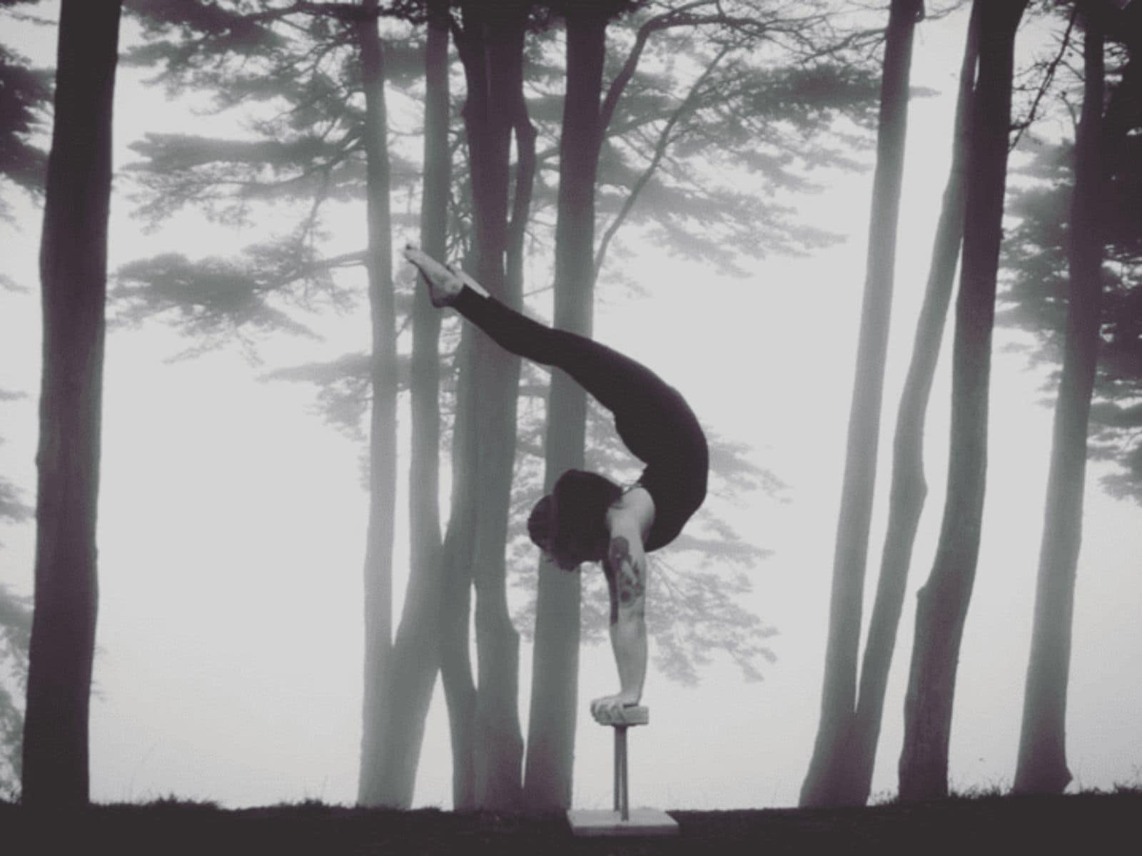 a black and white photo of a person doing a handstand in the woods